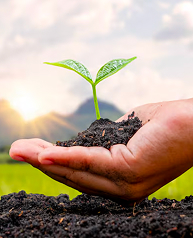 Afforestation and green cover expansion