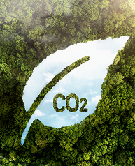 Carbon footprint reduction